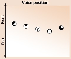 Voice position